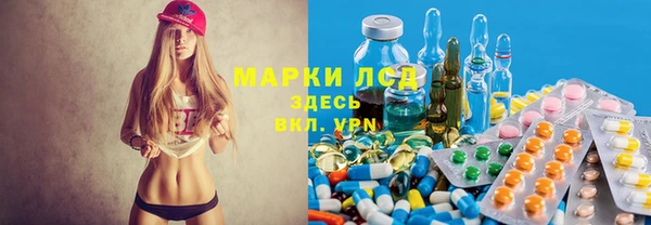 дмт Алзамай