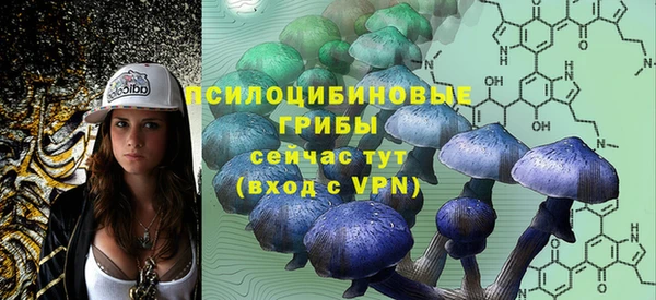 дмт Алзамай