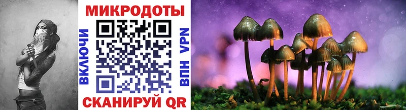 гидра ссылки  Мегион  Галлюциногенные грибы Psilocybe 
